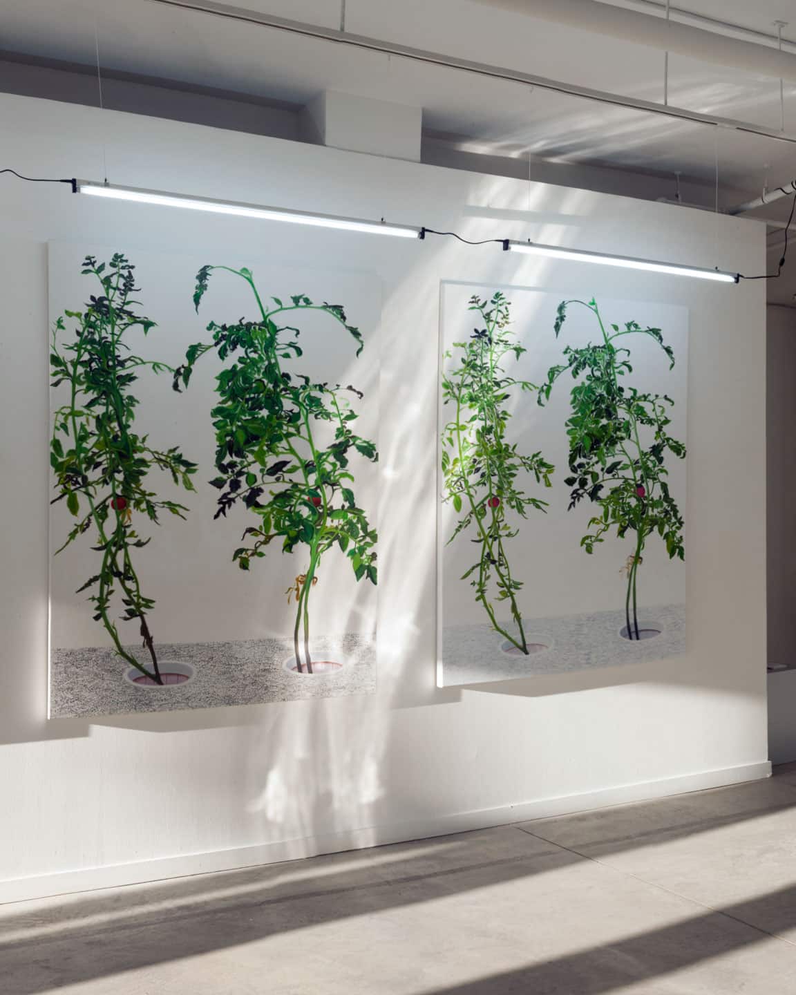 Alex Fischer,  1, 7 and 6000 evening light, O'Born Contemporary 